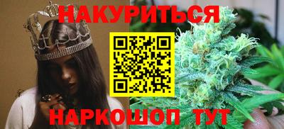 индика Будённовск