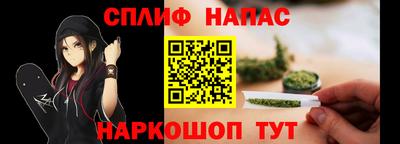 индика Будённовск