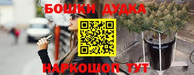 индика Будённовск