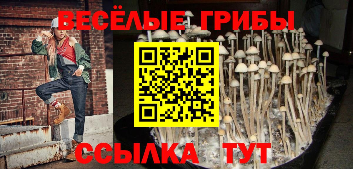 Псилоцибиновые грибы мухоморы  Вход с VPN  Лысьва  Галлюциногенные грибы GOLDEN TEACHER 